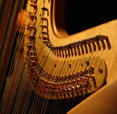 Die Harfe – ein interessantes Instrument!